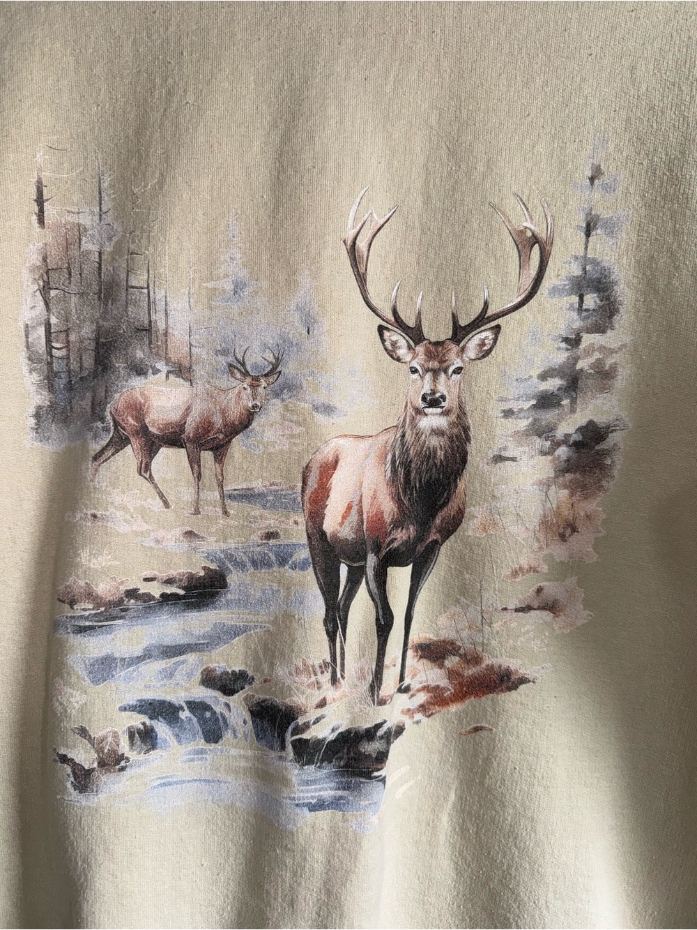 Cream Graphic Crewneck - Picture 2 of 4